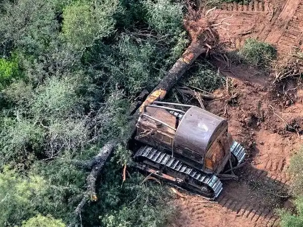 Condenan al senador Paoltroni por desmonte ilegal
en Formosa y deberá pagar más de $101 millones
