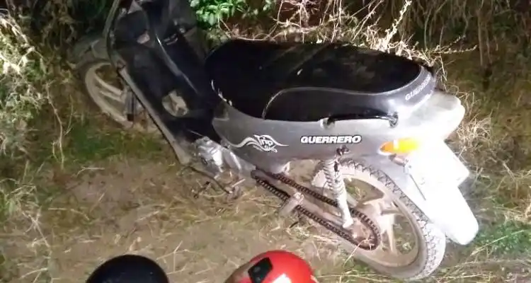 Policía Rural evitó el robo de plantas en un vivero