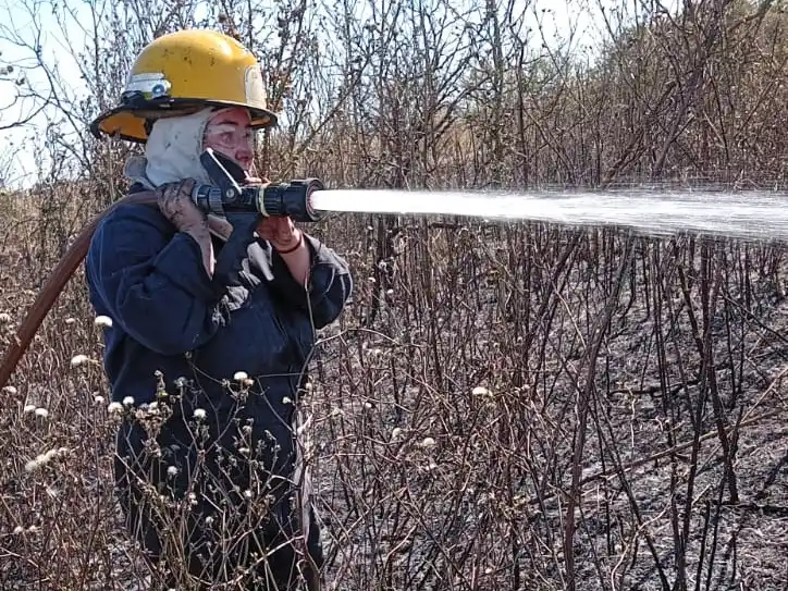 Dos incendios en campos de Gualeguaychú movilizaron a los Bomberos en las primeras horas de la tarde