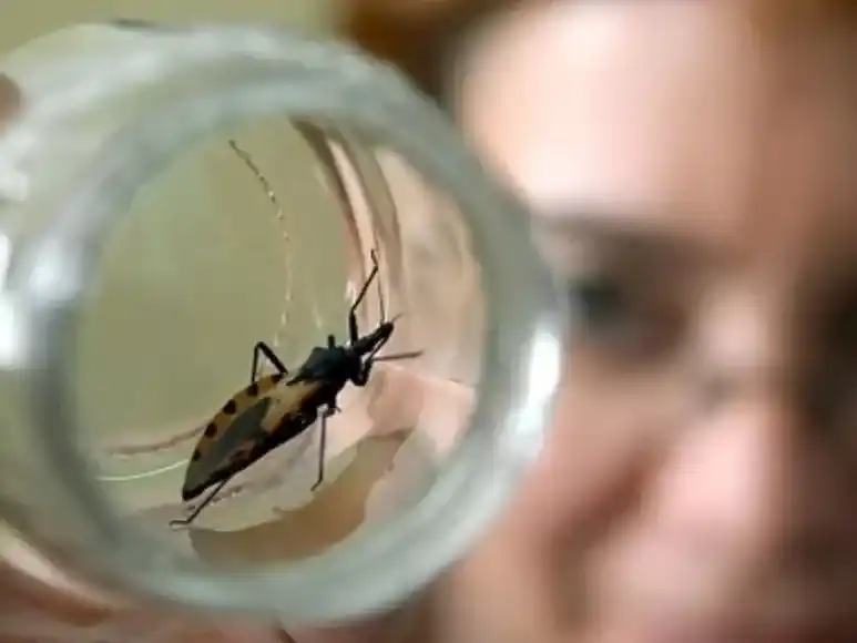 Se estima que hoy viven más de 55.000 personas con enfermedad de Chagas en el mundo.