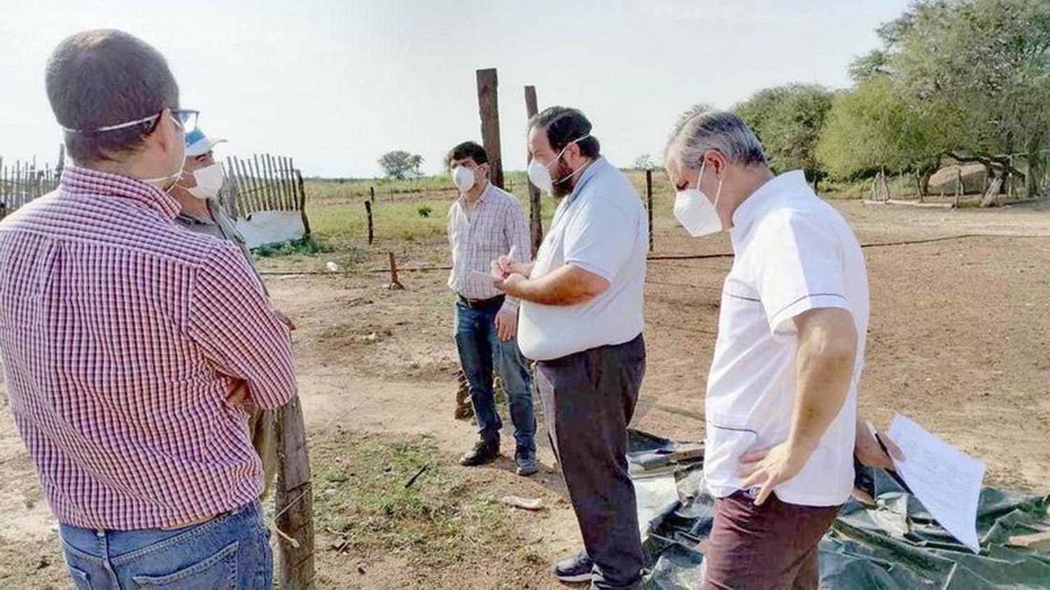 Un nuevo caso de gripe aviar en aves de 
traspatio se detectó en la provincia de Formosa