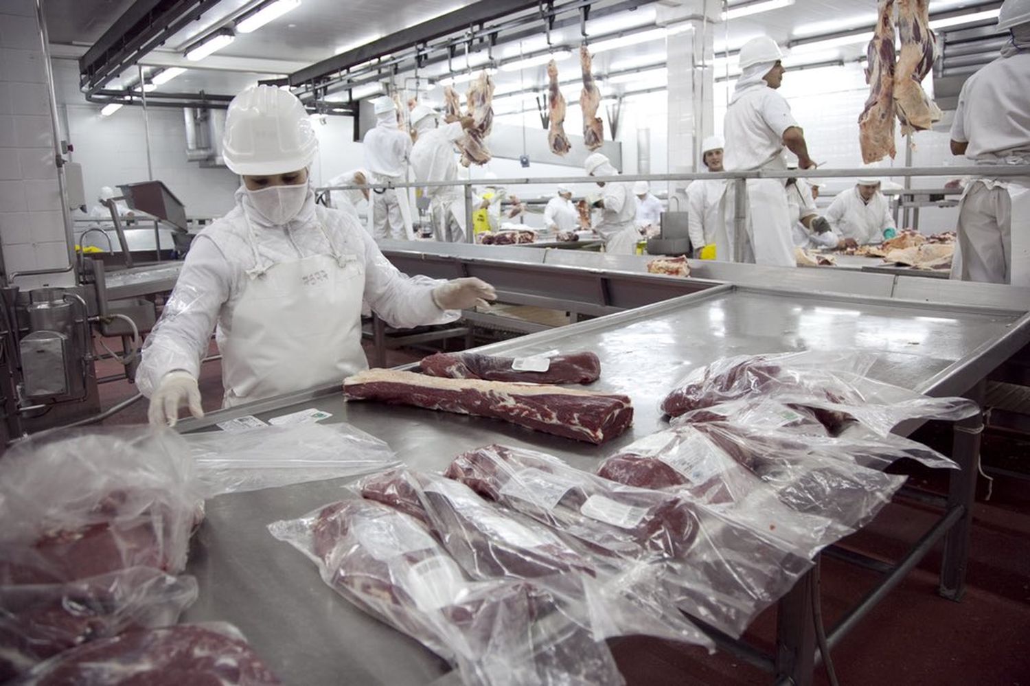 China autorizó ocho establecimientos de carne bovina para exportar, la mayoría de Provincia