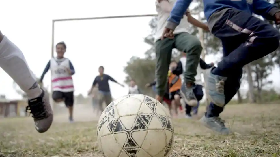 Cada vez se ven menos potreros