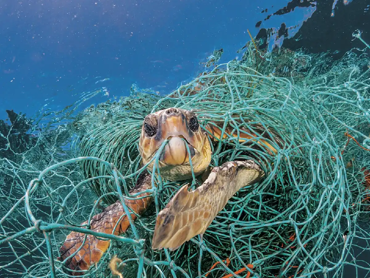 Día mundial de los océanos 