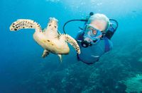Jacques Cousteau, pionero en la conservación de los recursos naturales y poeta de los mares