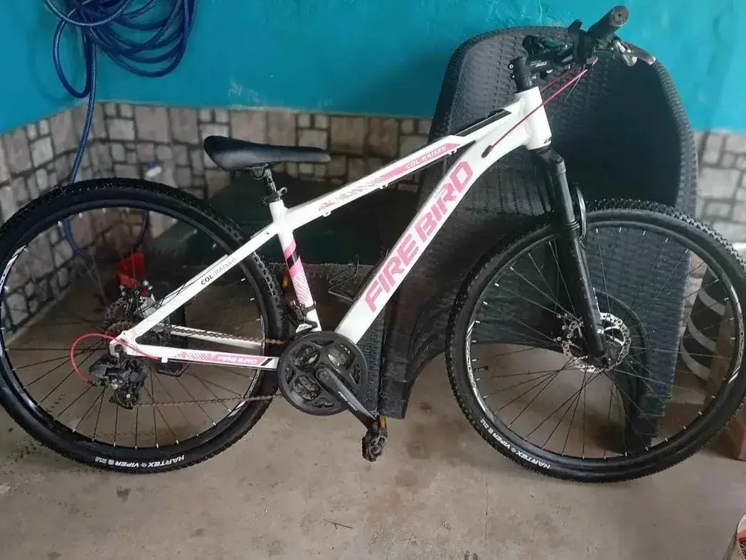 La bicicleta robada es un mountain bike blanca y rosa.