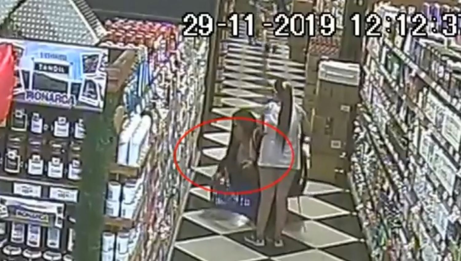 Quedó registrada por las cámaras de seguridad mientras robaba junto a una niña