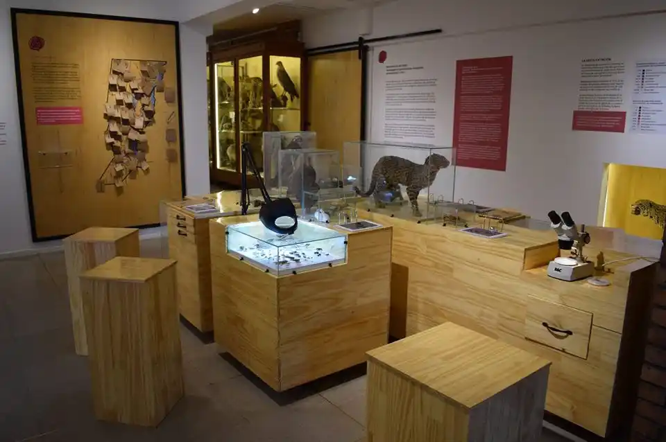 El museo Ameghino lanza su segundo libro digital gratuito