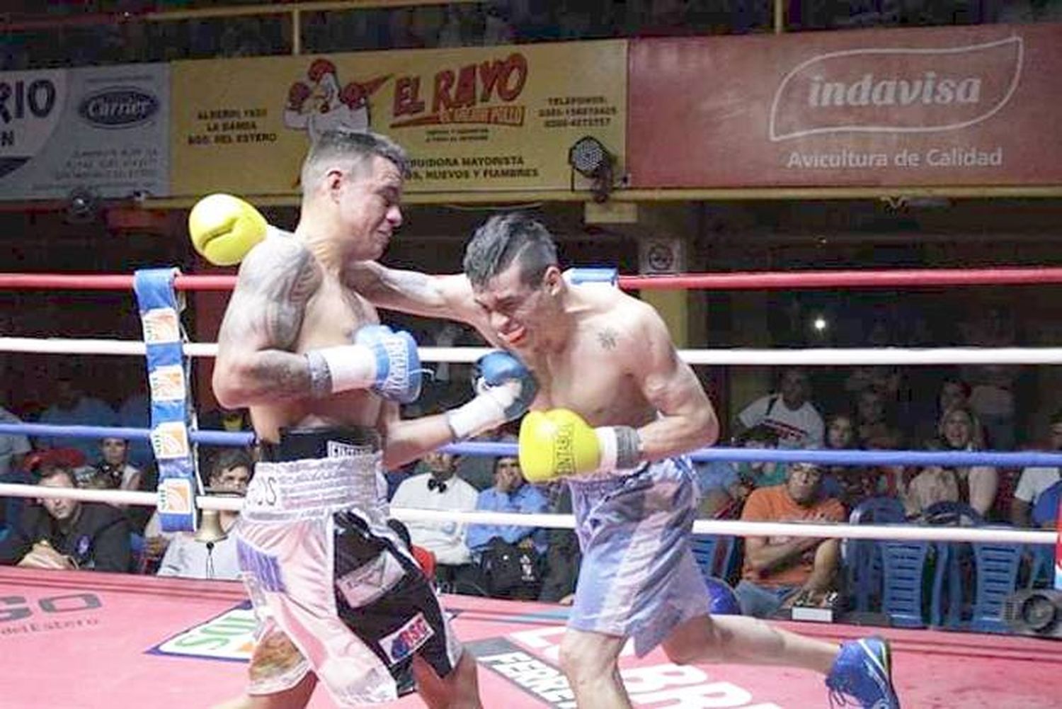 Gustavo �SPerrito⬝ Vittori  se suma a la gran  cartelera de Top Rank