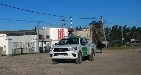 Arreando caballos sueltos