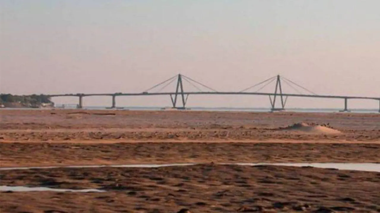 La gran bajante del río Paraná altera los ecosistemas fluviales
