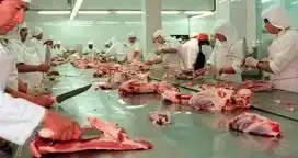 Argentina dio vía libre a la importación de carne vacuna brasileña