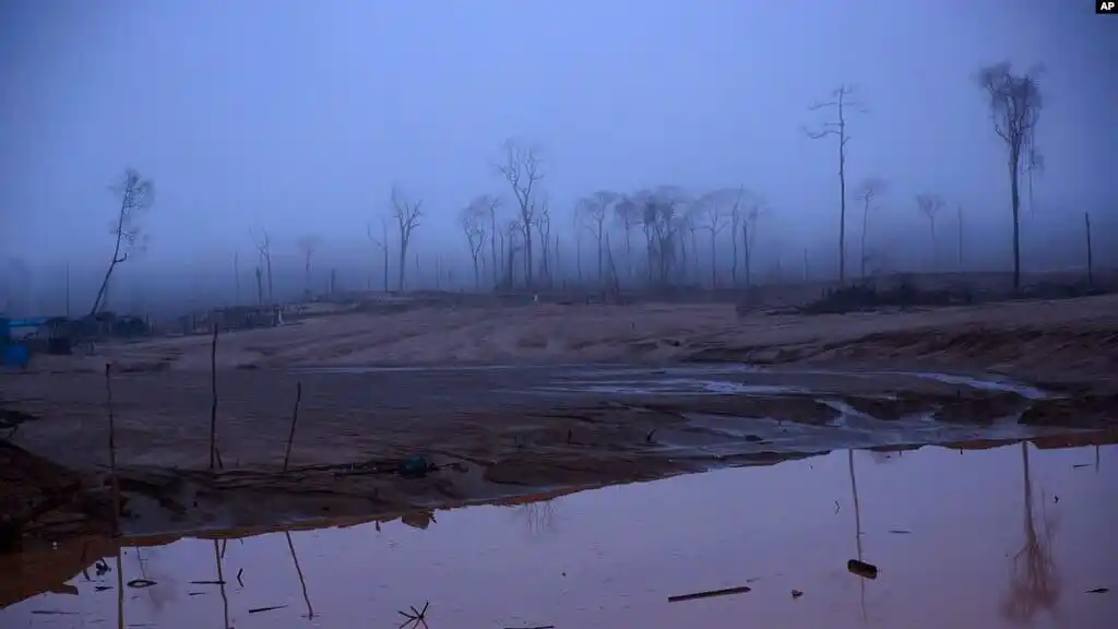 Sumido en la crisis, Perú descuida la protección de la Amazonía