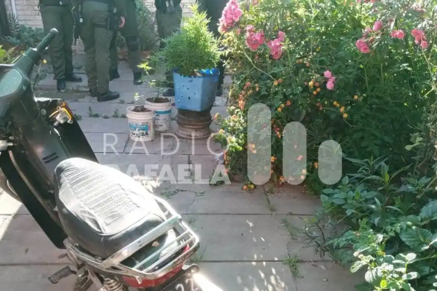 Elementos secuestrados