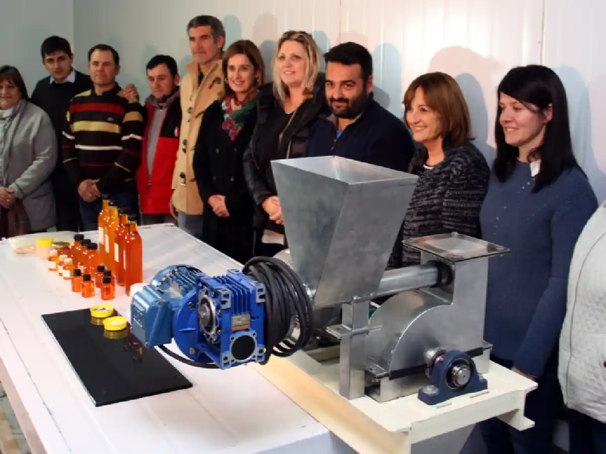 Producen bioetanol y carotenos con descartes de zanahorias      