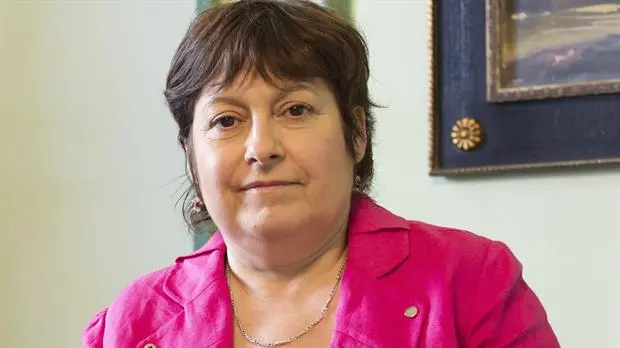 Ocaña: “Es importante en esta elección elegir que votemos por el desafuero de De Vido”