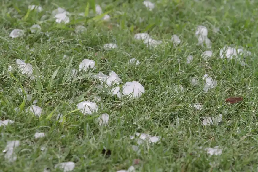 Emergencia Agropecuaria
