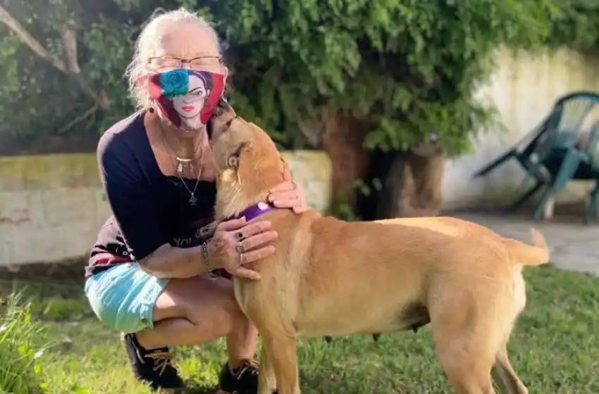 Nuevo cronograma del quirófano móvil para animales