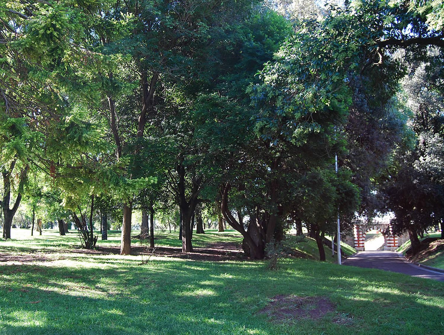 Proponen un Plan Integral de Forestación en Paraná
