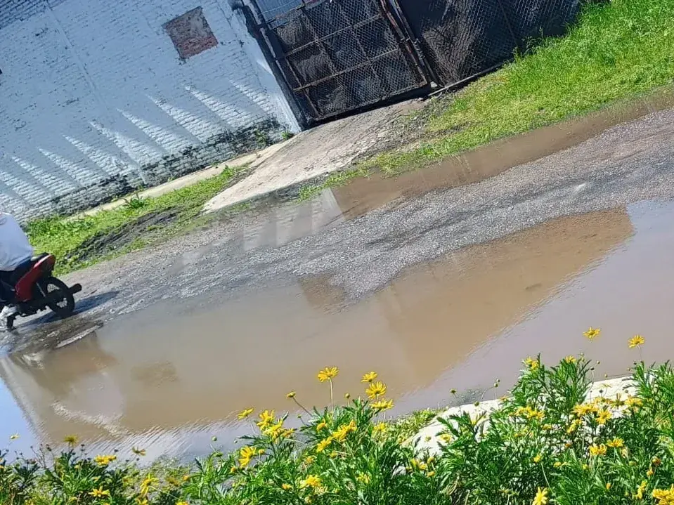 Los Aromos: vecina reclama por agua estancada en el frente de su vivienda