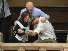 De que se trata la "Ley Nicolás" que aprobó el Senado