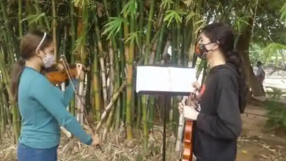 DEBAJO DE UNA MATA: así ensayan integrantes del Sistema Nacional de Orquestas en El Tigre (+ Fotos)