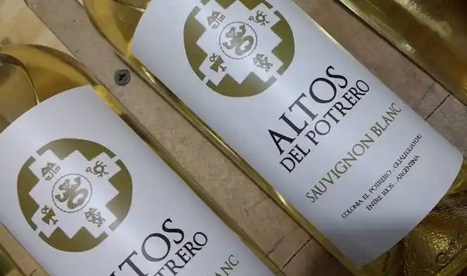 Actualidad del vino entrerriano, la bebida que intentaron matar pero que no pudieron