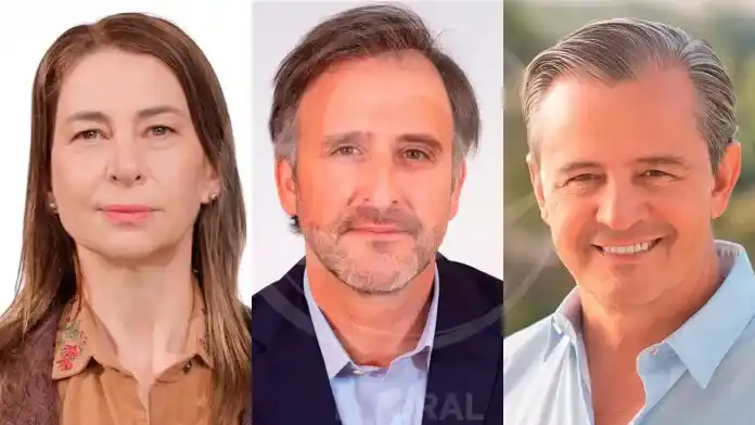 Estos son los tres senadores nacionales electos por Entre Ríos este domingo