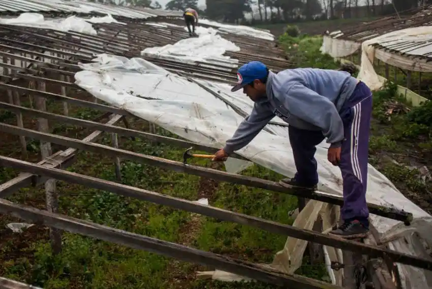 Nación y Provincia prometen agilizar asistencia para frutihortícolas