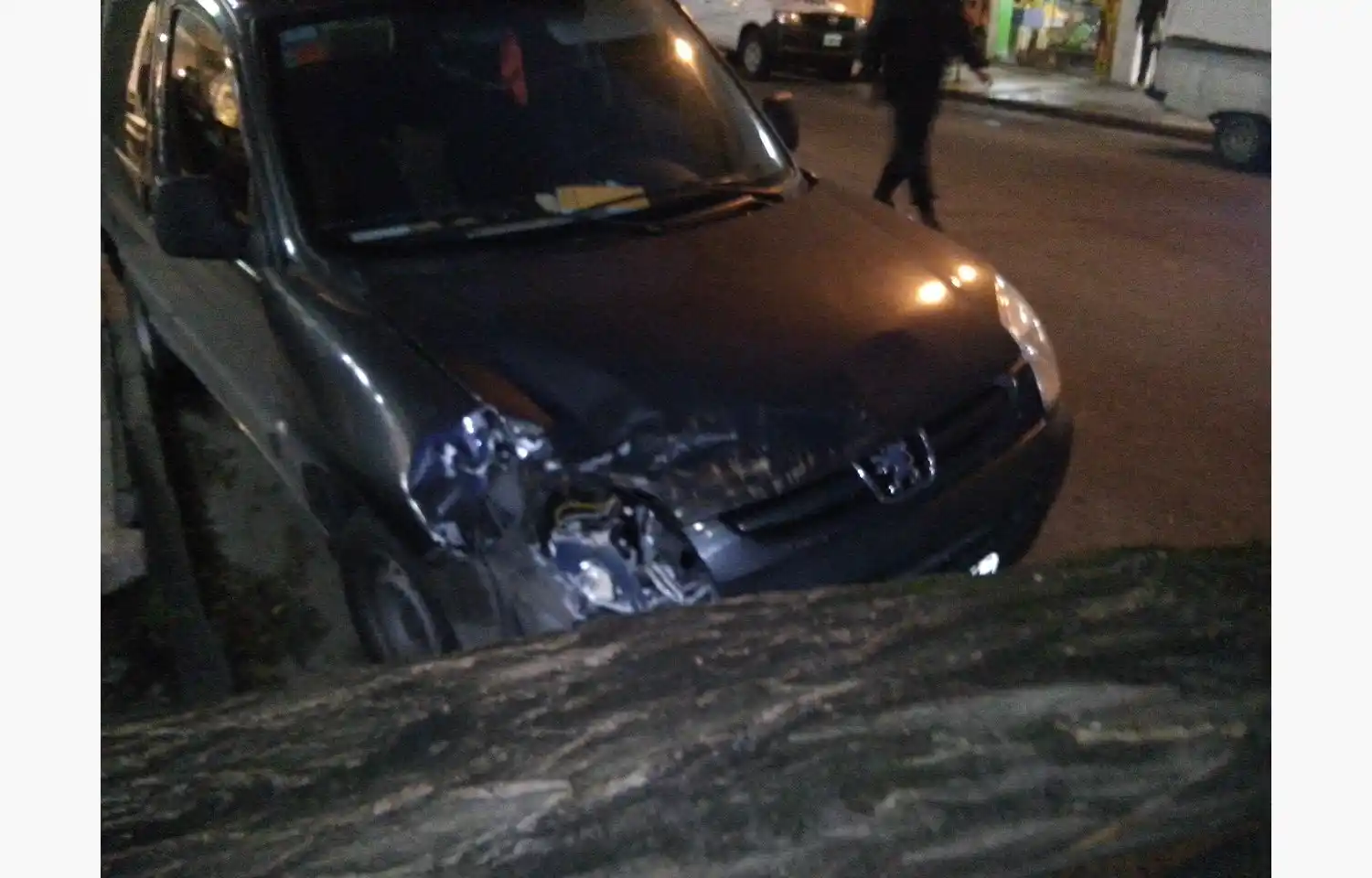 Por el fuerte viento, cayeron árboles en el centro