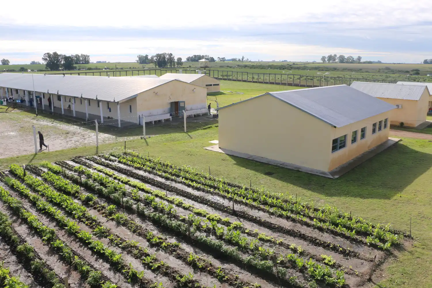 Escándalo en la UP Nº 9: Pasaron a disponibilidad a los dos funcionarios involucrados