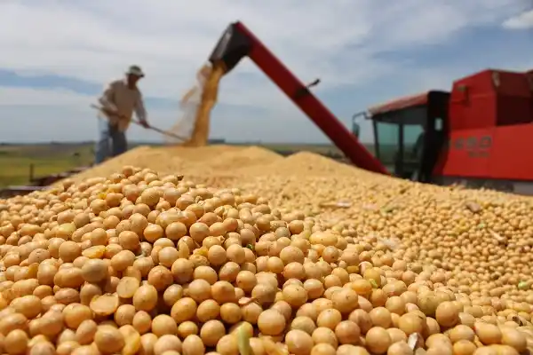 Estiman que Argentina tendrá la segunda cosecha de granos más alta de su historia