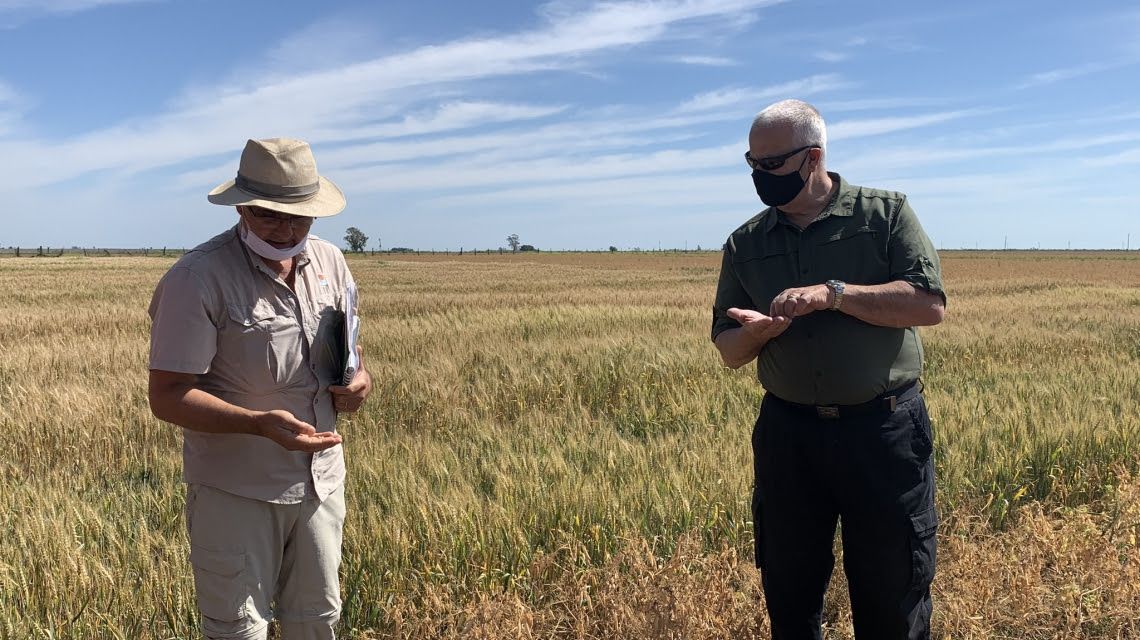 Santa Fe trabaja para potenciar la producción de legumbres santafesinas