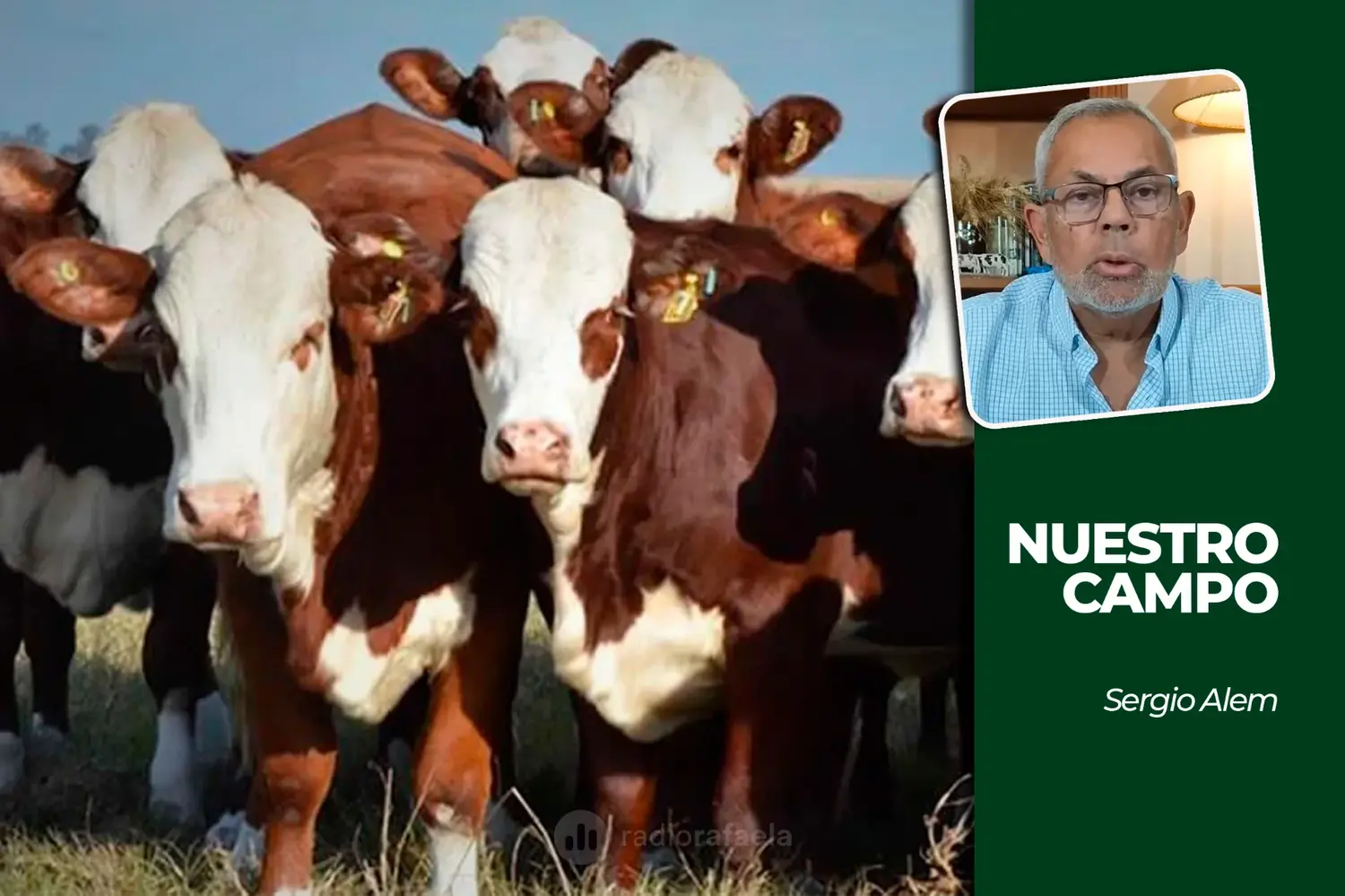 Cañuelas inició la semana sin ingresos y la soja cotizó a 560.000 pesos por tonelada