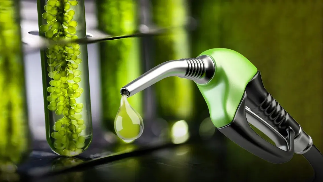 El Gobierno Nacional fijó los nuevos precios de los biocombustibles