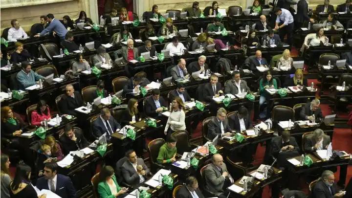 Diputados aprobó la despenalización del aborto, 129 a 125 votos