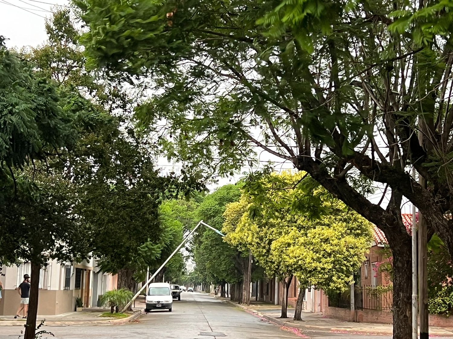 Poste de luz enganchado en los cables