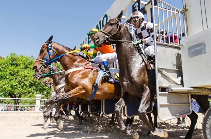 Lunes 31: Actividad Hipódromo de Palermo