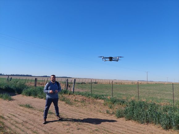 Los drones pueden hacer volar el rendimiento del trigo
