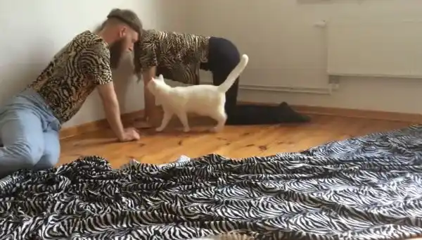 El teatro que no imaginabas: para mascotas