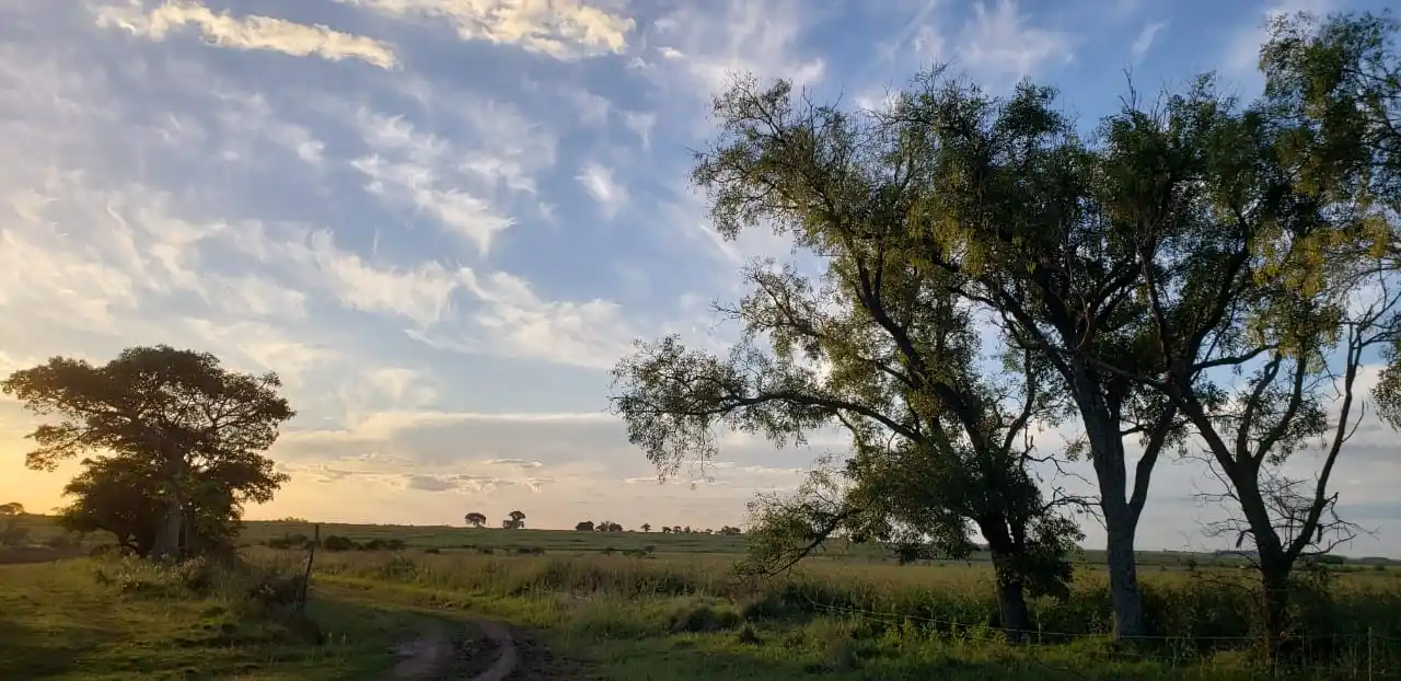El SMN emitió una serie de alertas que rigen hasta el viernes