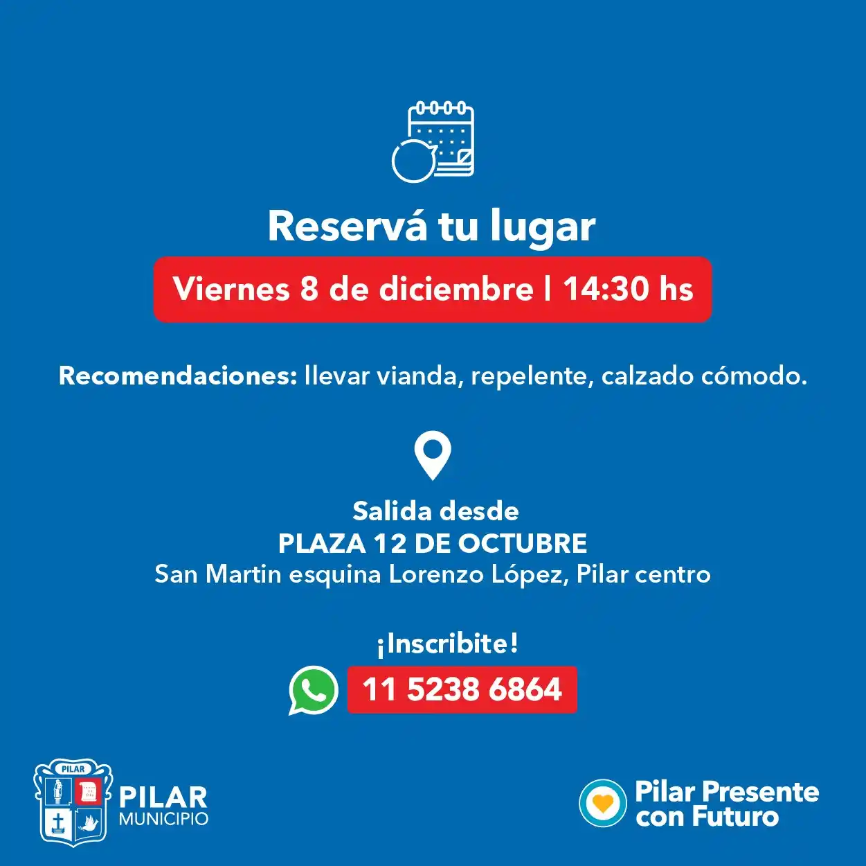 pilar virgen