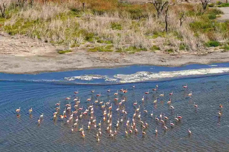 Parque Nacional Ansenuza