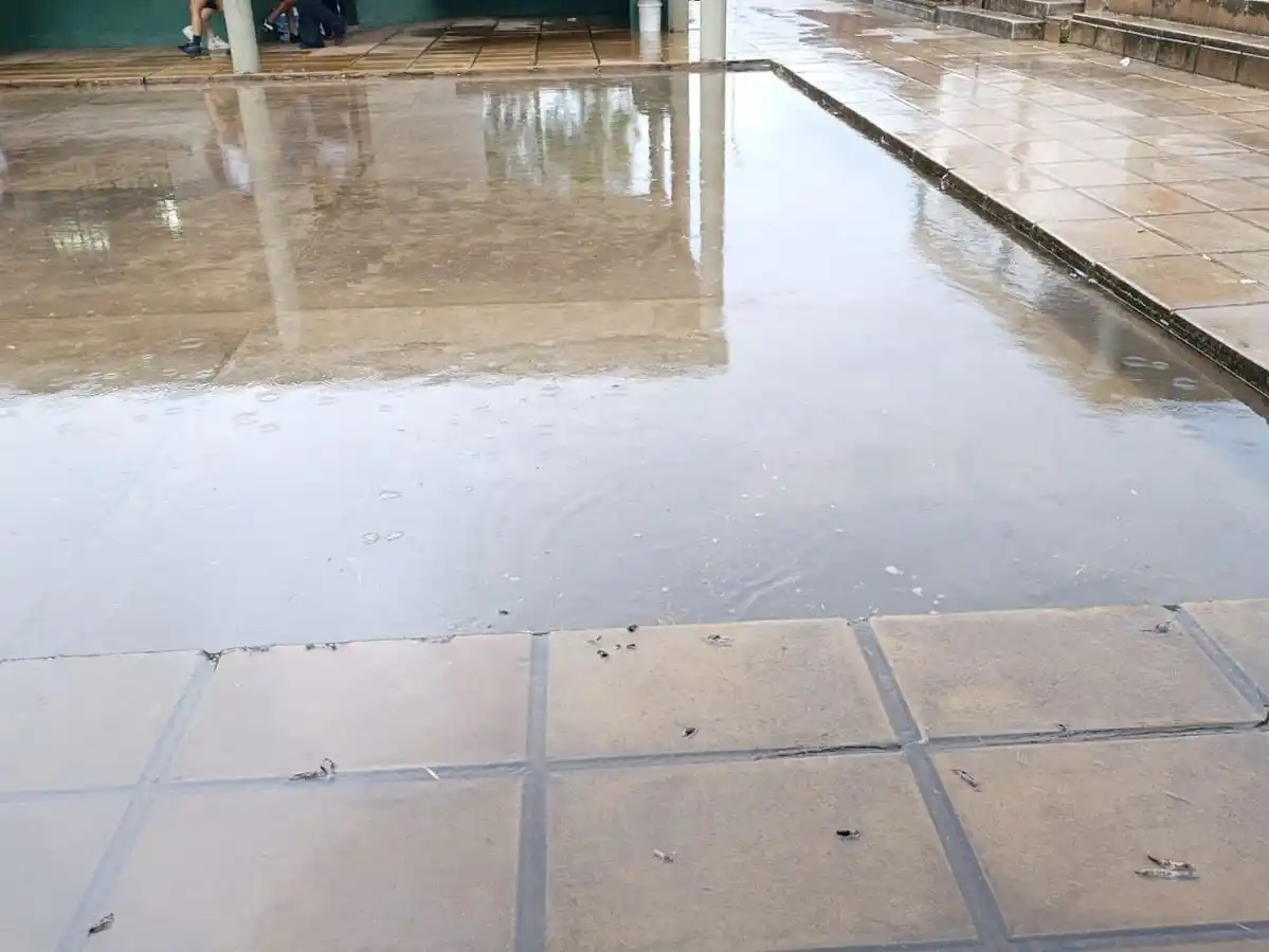 Confirmaron que las filtraciones de agua activan el sistema eléctrico de protección en la Escuela Artigas de La Bianca