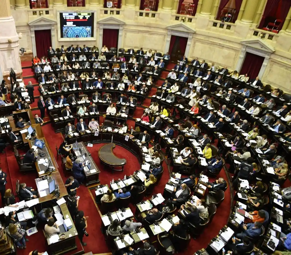 En vivo: Diputados trata la ley de alcohol cero al volante