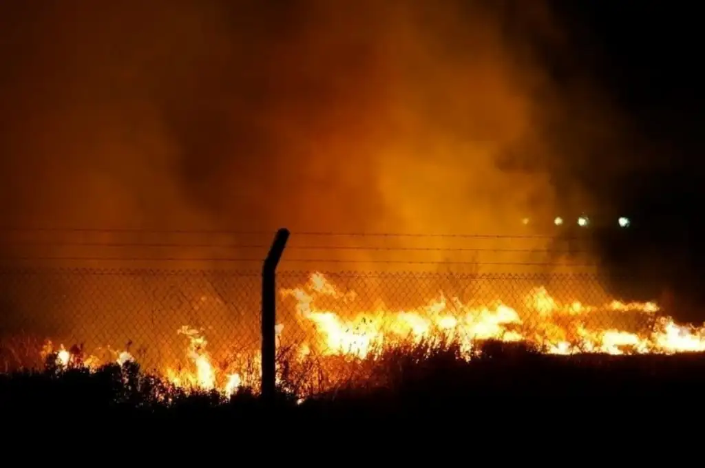 El predio afectado se ubica en ruta 1, altura del kilómetro 27. Foto: Gentileza