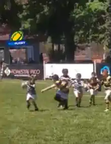 rugby menores