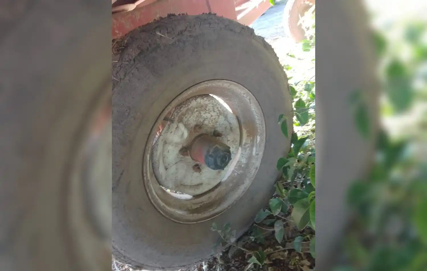 Robaron tres ruedas de un acoplado y una bici en un vivero