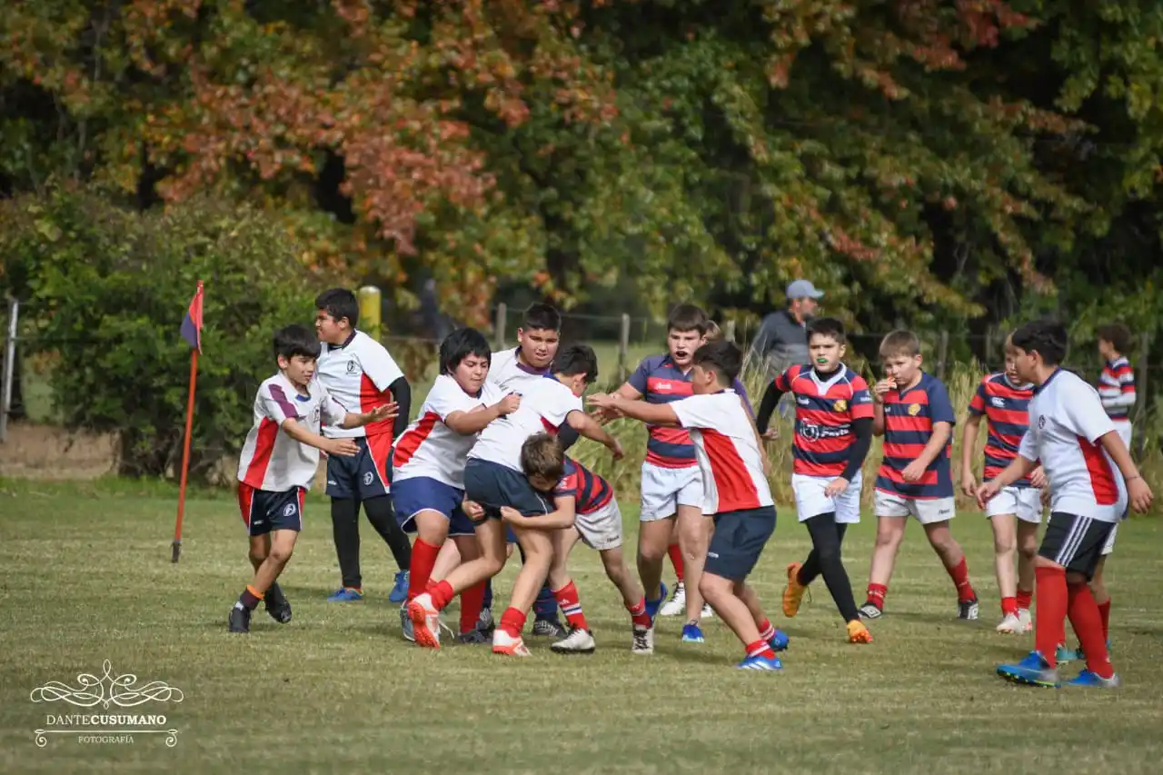 Rugby - 6