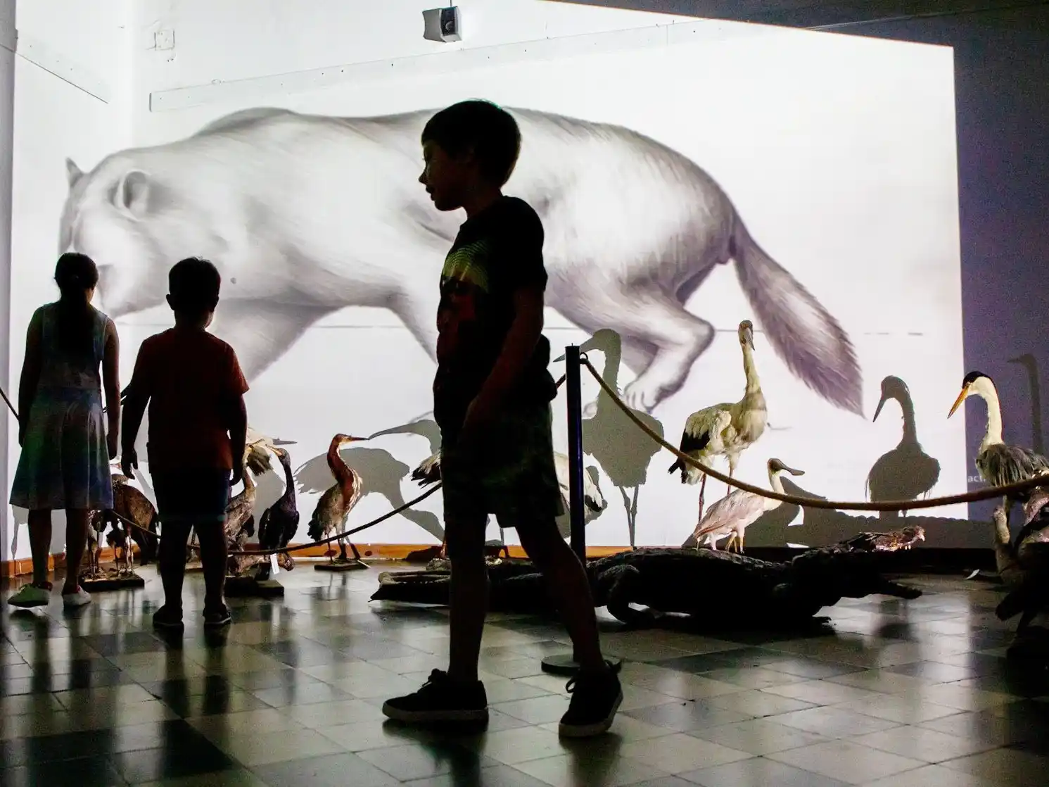 El Museo Serrano invita a conocer su Reserva Técnica